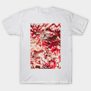 Pretty Red and White Flowers T-Shirt